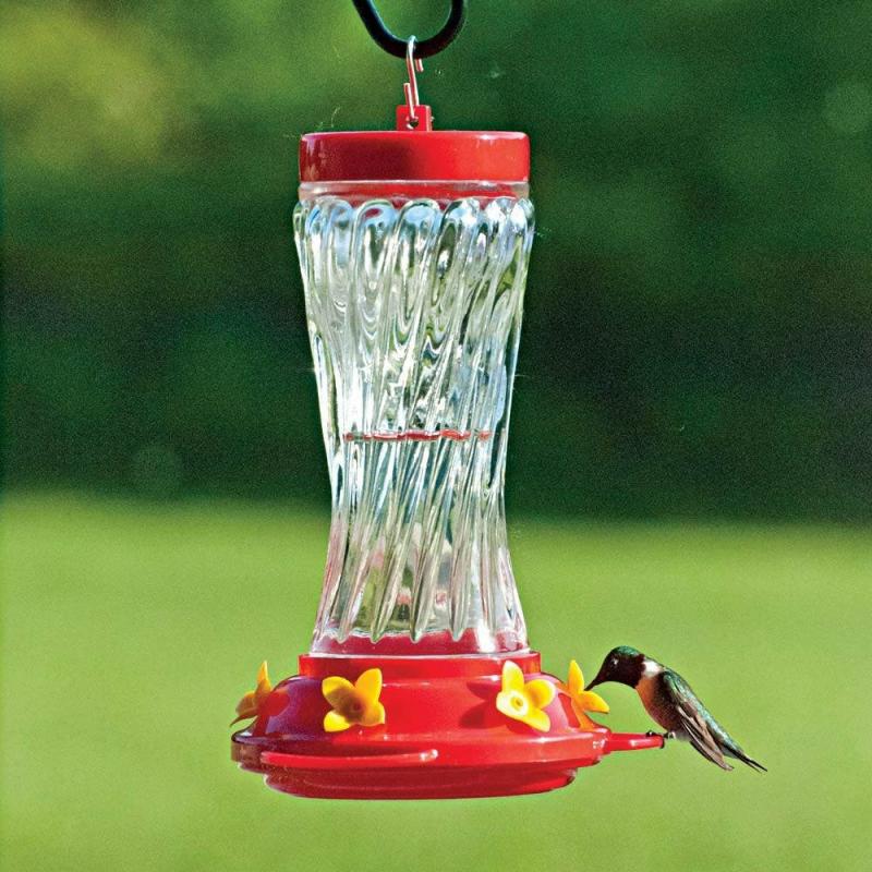 16 Oz. Spiral Glass Hummingbird Feeder | Backyard Birds & Nature Backyard Birds & Nature Backyard Birds & Nature