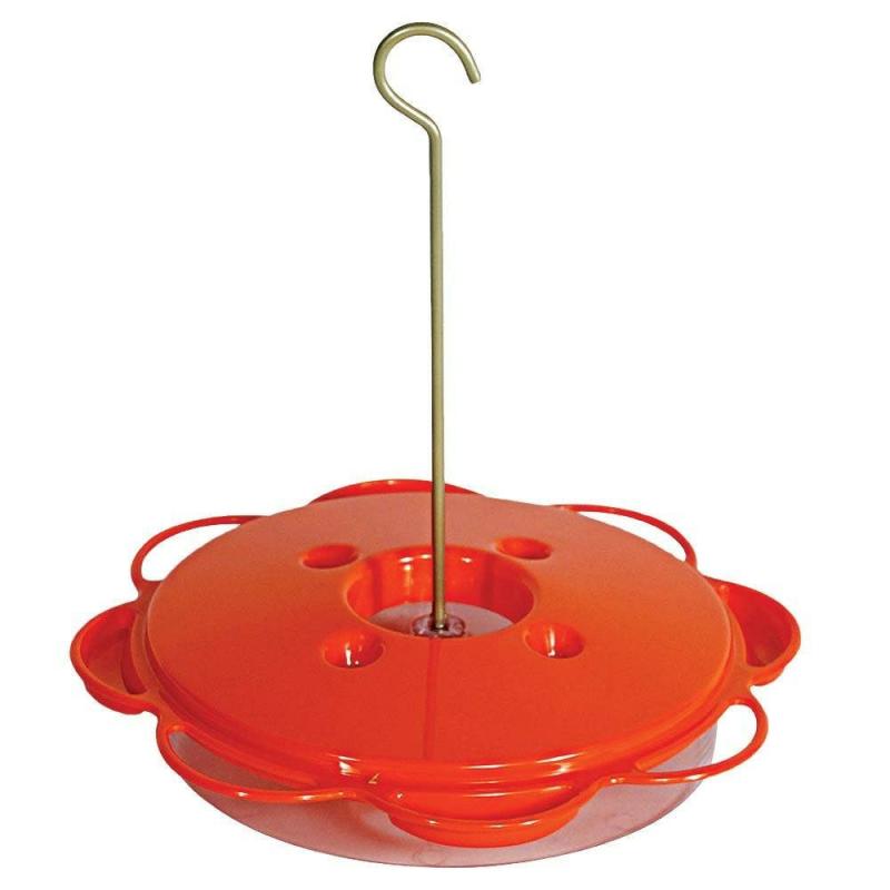 Audubon 3-in-1 Oriole Dish Feeder | Backyard Birds & Nature Backyard Birds & Nature Backyard Birds & Nature