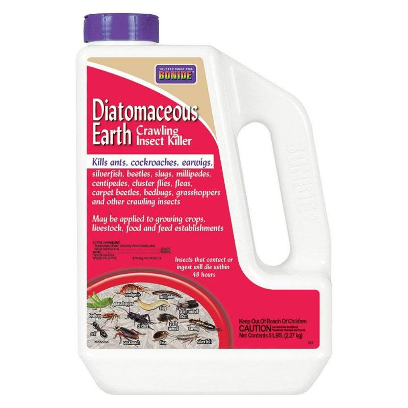 Diatomaceous Earth for Crawling Insects 5 lb Jug | Sprayers Gardening Supplies Sprayers