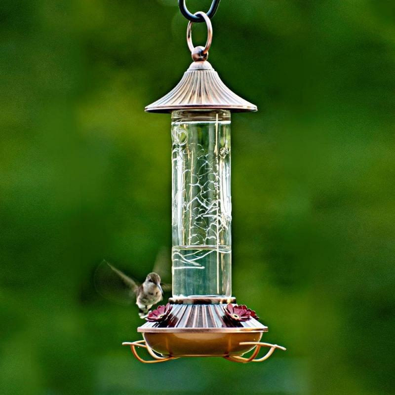 Embossed Decorative Glass Hummingbird Feeder | Backyard Birds & Nature Backyard Birds & Nature Backyard Birds & Nature