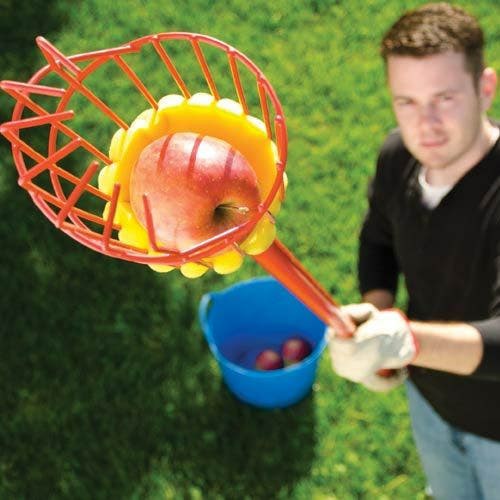 Fruit Harvester Picking Basket, Telescopes 10-feet | Harvest Tools Gardening Tools Harvest Tools