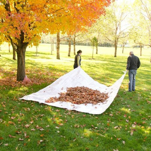 Heavy Duty Lawn Tarp 8ft x 10ft Single | Landscape Tarps Gardening Supplies Landscape Tarps