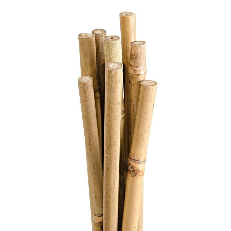 Natural First-Cut Bamboo Stakes, 4ft x 3/8in, 10-Pack | Tomato & Vegetable Supports Gardening Supplies Stakes