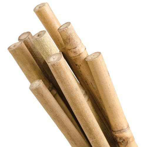 Natural First-Cut Bamboo Stakes, 5ft x 3/8in, 10-Pack | Stakes Gardening Supplies Stakes