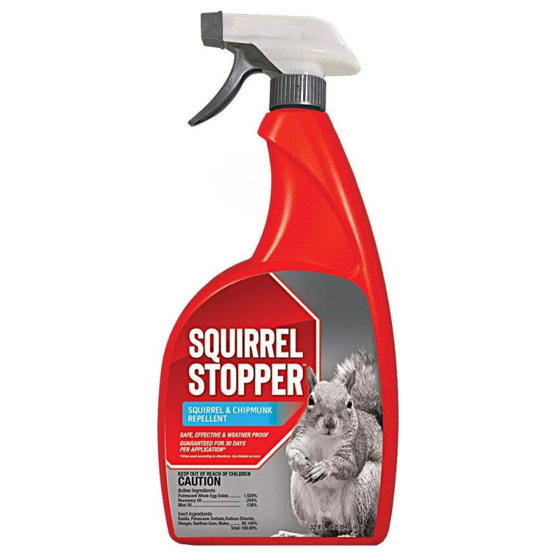 Squirrel Stopper Animal Repellent, 32oz Ready-to-Use | Outdoor Pest Control Outdoor Living Outdoor Pest Control