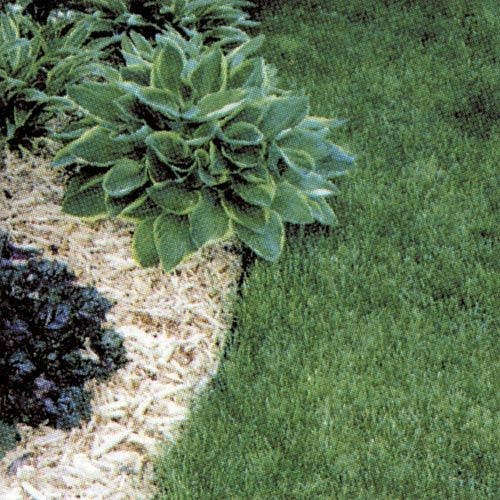 Super-Edg Plastic Edging | Edging & Fencing Paths Edging & Fencing Paths Edging & Fencing Paths