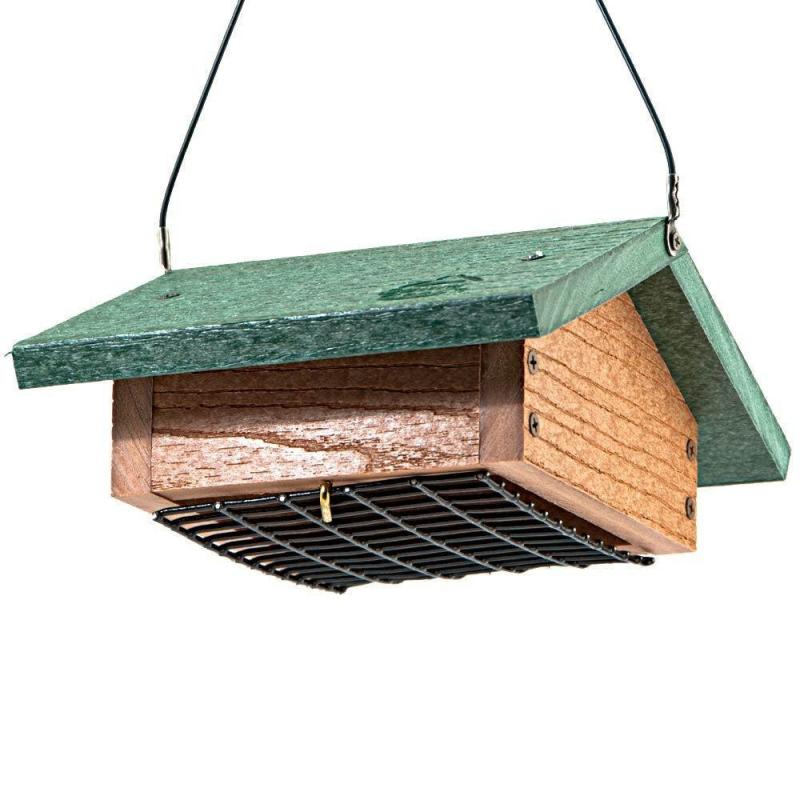 Upside Down Suet Feeder | Backyard Birds & Nature Backyard Birds & Nature Backyard Birds & Nature