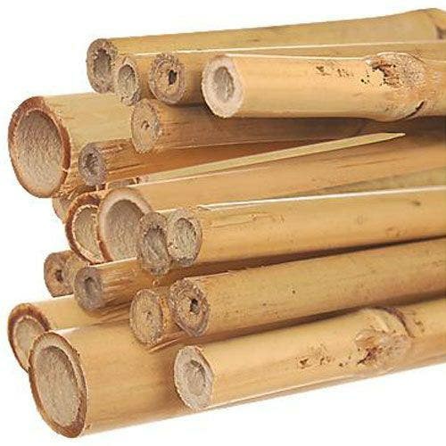 Natural First Cut Premium Bamboo Stakes, Bundle | Tomato & Vegetable Supports Gardening Supplies Stakes